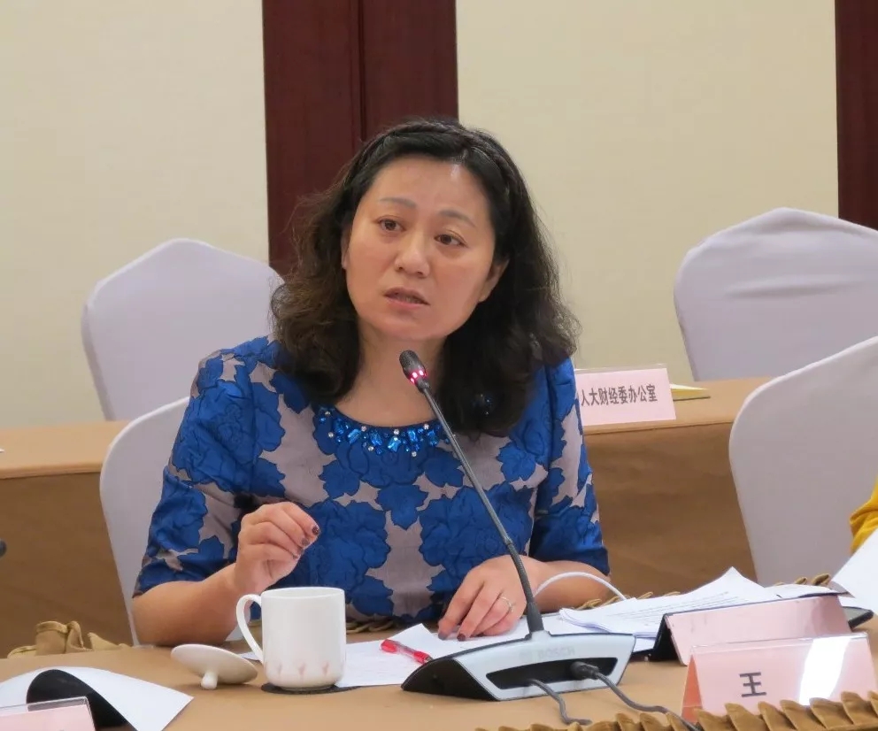 王芳秘书长出席政府人大代表建议和政协提案主题座谈会
